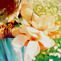 ΨԷ羰ͷ-(ͷǿ)һ׵ĸ