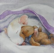 小动物插画集