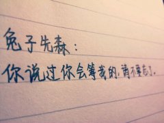 纯手写经典的图文