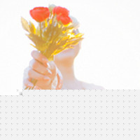 зŷͷ QQͷ-両ε