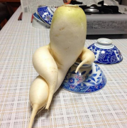 ⲻǰڹ