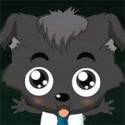 可爱的小灰灰头像