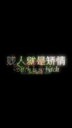 简约梦幻文字皮肤
