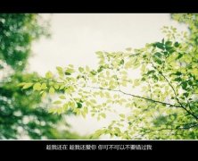 个性文字好看的图片