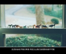 复古文艺文字图片