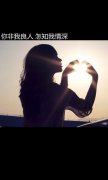 唯美意境文字皮肤