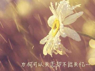 “你有爱人吗”“爱而不得的人”