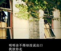 最新经典文字图片