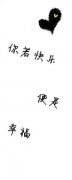 可爱简约情侣皮肤