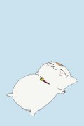 可爱的猫咪老师皮肤