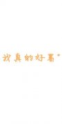 最新简约文字皮肤