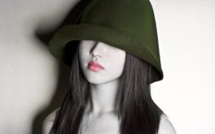 清风徐来半遮面图片