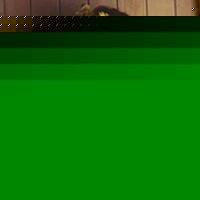 ŷqqͷ
