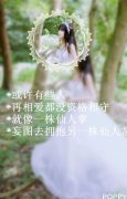 创意唯美的女生带字皮肤