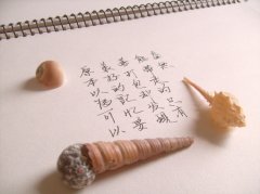 清新感伤文字素材图片