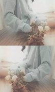 唯美意境的女生qq皮肤