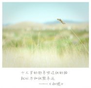 文艺好看的带字图片