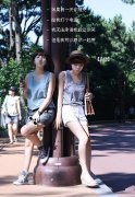 好看的清新文字皮肤