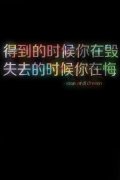 简约文字唯美皮肤