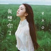 意境唯美的自制EXO头像