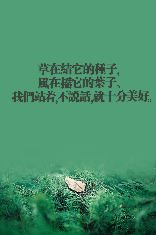 清新爱情文字图片