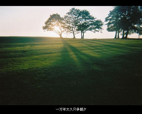 幽雅意境文字图