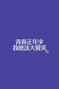 简约纯色的文字皮肤