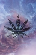 简约梦幻的原宿皮肤