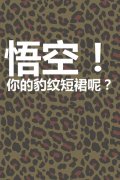 可爱小清新简约的qq皮肤