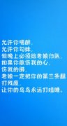 个性文字简约皮肤