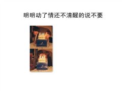 个性的文字简约皮肤