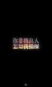 黑底彩字简约皮肤