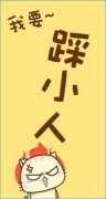可爱简约的带字皮肤