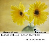 暖心的文字唯美图片