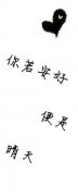 情侣皮肤简约带字