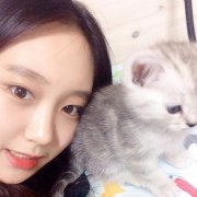 可爱的清新女生qq皮肤最新