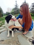 独特的女生qq皮肤