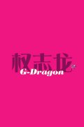 简约的明星文字皮肤