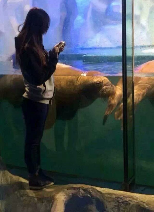 ŮʱеĸƤ