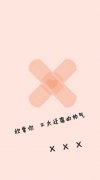粉色的可爱情侣皮肤