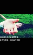 伤感的简约文字皮肤