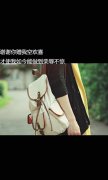 简约的个性文字皮肤