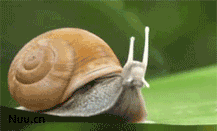 MMѵһgif̬ͼƬ