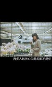 唯美意境的文字图片