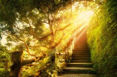 夏日美丽光影素材图片