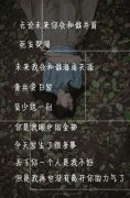 带字的清新女生qq皮肤