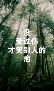 简约的风景带字皮肤
