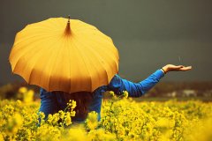 美好雨季花伞图片