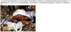 触动你眼眸的故事图片