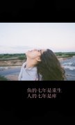 意境的简约文字图片